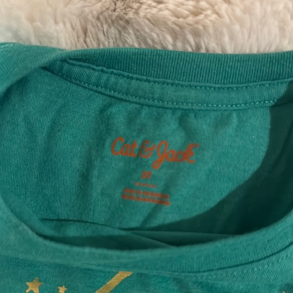 Cat & Jack St.Pattys Day with Musical Frog Print - Picture 2 of 2